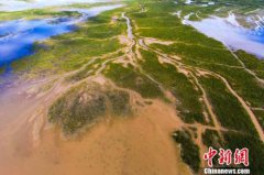 新濠天地平台_新濠天地官网_新濠天地网站_在阿塞拜疆首都巴库召开的第43届世